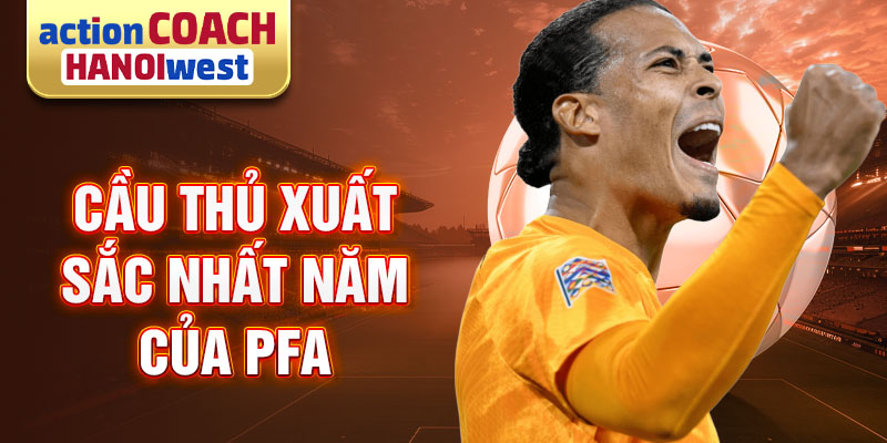 Cầu thủ xuất sắc nhất năm của PFA