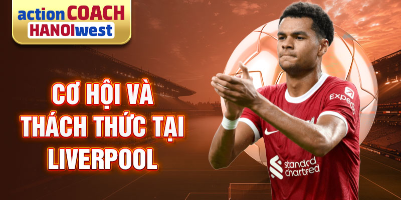 Cơ hội và thách thức tại Liverpool của Cody Gakpo